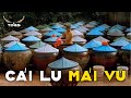 Hồi Ức Về CÁI LU &quot;MÁI VÚ&quot;