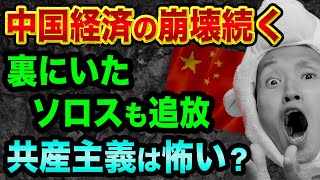 中国経済の崩壊続く、裏にいたジョージソロスも追放【アリペイ解体と共産主義は怖い？】食糧危機で人工肉や昆虫食と無印良品のコオロギせんべい