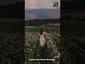 Poppy Field Serenity: Moments vs. Photos ✨ Prints Coming Soon!