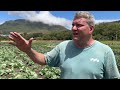 Organic farming in south africa