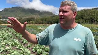 Organic farming in South Africa