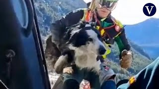 La Guardia Civil rescata con un helicóptero a un perro que estaba en una ladera del Pirineo aragonés