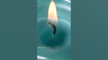 Candle thread #microscope #zoom #viral #macrozoom #candle #fire #candles