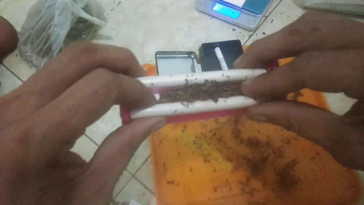 #Tutorial melinting rokok 