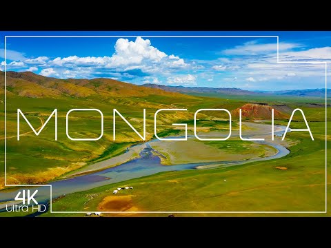 Video: Mongolia Dandelion