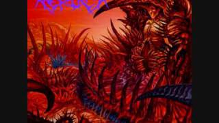 Nerlich - Condemned