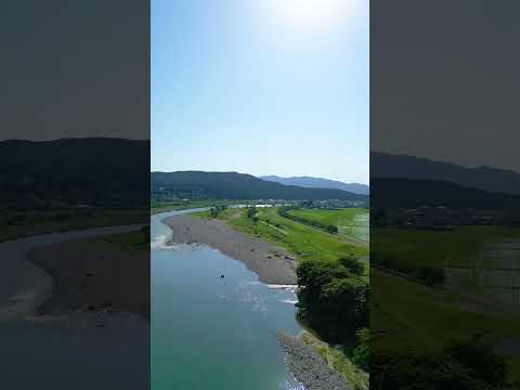 今日の関川村｜6/20　【関川村 観光スポット】丸山大橋から望む荒川と田園の夏景色｜自然と米どころの魅力を一望！　 #関川村  #新潟観光