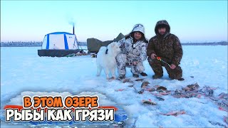 видео: ПРОСНУЛИСЬ НА ЛЬДУ И ПОНЕСЛАСЬ ЖАРА \ ТУНДРОВОЕ ОЗЕРО НЕ ПЕРСТАЁТ УДИВЛЯТЬ картинка: ПРОСНУЛИСЬ НА ЛЬДУ И ПОНЕСЛАСЬ ЖАРА \ ТУНДРОВОЕ ОЗЕРО НЕ ПЕРСТАЁТ УДИВЛЯТЬ