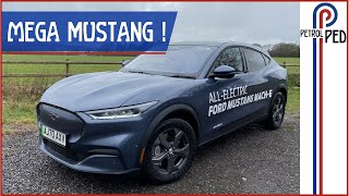 Mustang Mach E - Watch Out Tesla, This Pony Is Coming For You!