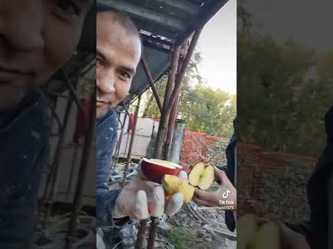    صباحو فل اديب