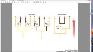 Inferring Phylogeny Introduction