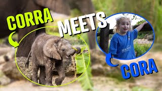 5-Year-Old Cora Meets Baby Elephant Corra at Disney’s Animal Kingdom | Make-A-Wish