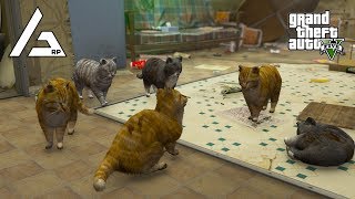 GTA 5 Roleplay - ARP - #205 - Cat Pack Chaos! GTA 5 Roleplay - ARP - #205 - Cat Pack Chaos!