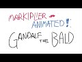 Markiplier Animated: GANDALF THE BALD