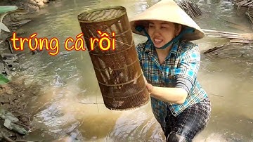 Em gái miền Tây đặt cá Bống đi thăm cá nhảy rần rần