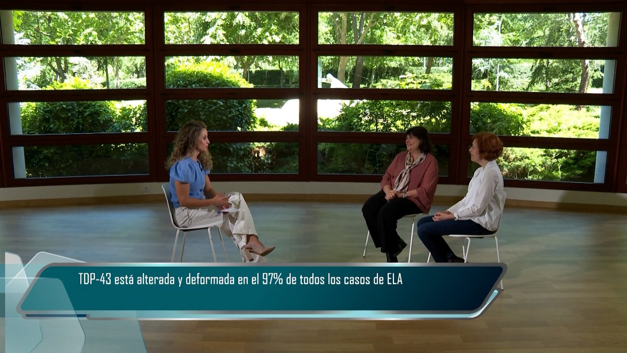 T6/E41: Investigando la Ela