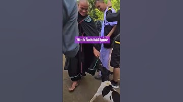 Chú chó cắn ý áo  Phúc Giác lôi kéo không buôn #thichminhtue