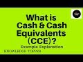 What is Cash and Cash Equivalent (CCE) By Knowledge Topper