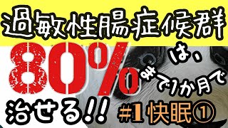 【IBS】過敏性腸症候群は、80%まで１か月で治せる☆１快眠①「快眠を制するものは、IBSを制する！！」