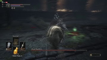 MUN STAMINA!! (MY STAMINA!!) Dark Souls 3 no dodge challenge highlight