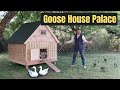 Ep 147  amazing goose house project  from french chateau to farmhouse 