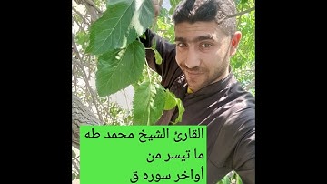 ما تيسر من أواخر سوره ق بصوت القارئ الشيخ محمد طه
