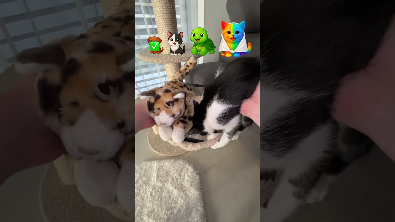  REAL Vs FAKE Animals Edition Which One Would You Chose