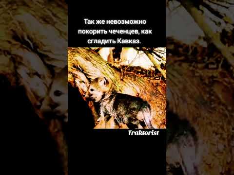 Генерал Орлов о Чечне: покорить их невозможно, как сгладить Кавказ