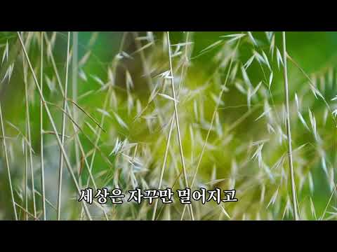 🎶바람같은 날을 살다가-정미조 *그 하나만 남았네*