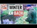 Das Geheimnis des Erfolgs im Winter?! - Unterwegs am Bach mit Christian