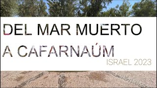 Viaje a ISRAEL 2023 Del Mar Muerto a Cafarnaum