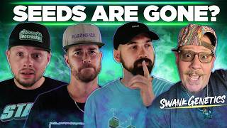 Is This How Breeders Are Surviving the Seed Ban?  - From The Stash Podcast Ep. 297