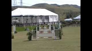 Espionage - Meredith Herman