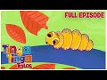 The Story of Caterpillar | Tinga Tinga Tales Official | Full Episode | Cartoons For Kids