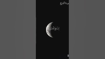 أَلَمْ نَشْرَحْ لَكَ صَدْرَكَ القارئ عصام حمود❤️❤️