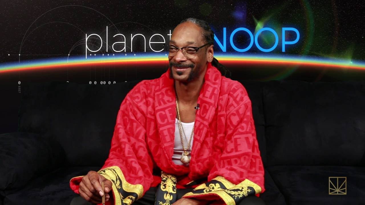 style america Snake Charmer | PLANET SNOOP