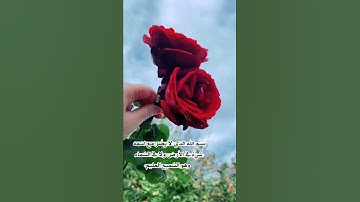[ قُل إن كنتم تحبّون الله فاتّبعوني يحببكمُ الله... ] - تلاوة لا مثيل لها من الخشوع بصوت من تحبّوون