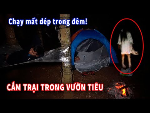 Cắm Trại Qua Đêm Trong Vườn Tiêu Su Hào Troll Củ Cải Cười Đau Bụng!??