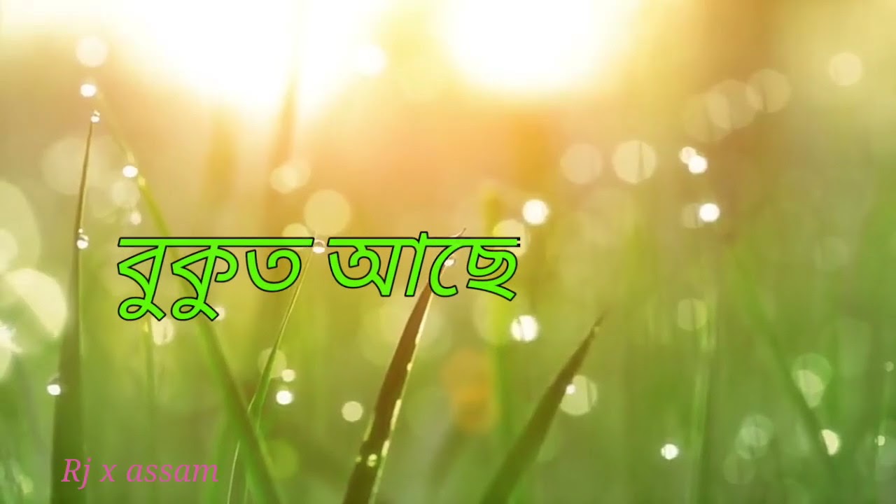 Bukut ase bohu morom kunenu buji pabo whatapp status video  by nilakshi ba  new WhatsApp video