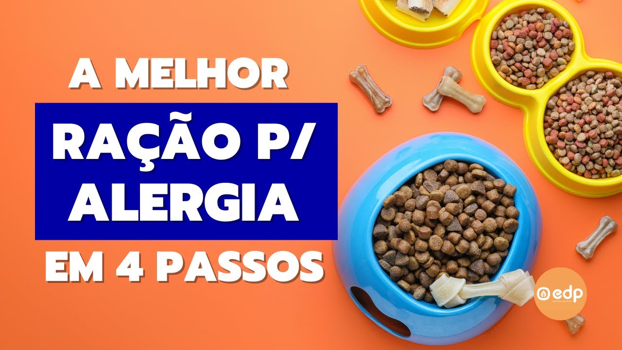 206 | MELHOR RAÇÃO PARA ALERGIA DE PELE, ATOPIA E DERMATITE DE CACHORRO ...