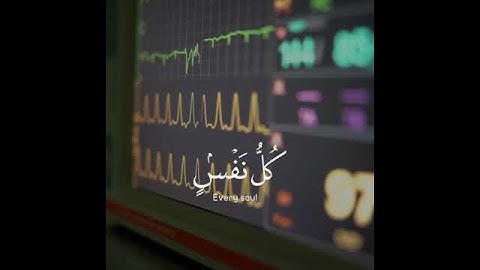 القارئ اسلام صبحي || سورة العنكبوت ||  كل نفس ذائقة الموت ثم إلينا ترجعون