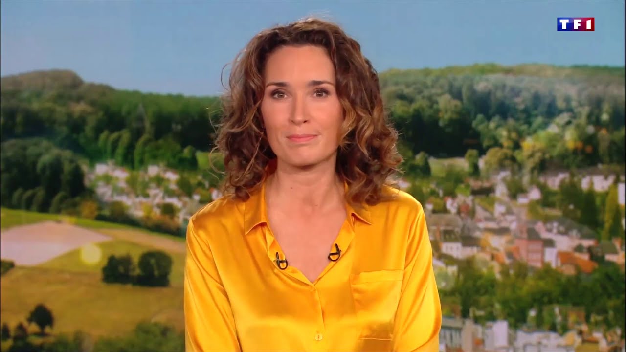 Le Journal De Tf1 D' Aujourd'hui 13h Problème TF1 journal de 13h problème technique - YouTube