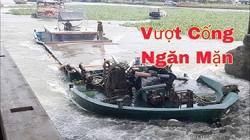 Sà Lan ghe gỗ vượt cống hấp dẫn tại cống ngăn mặn Trà Vinh