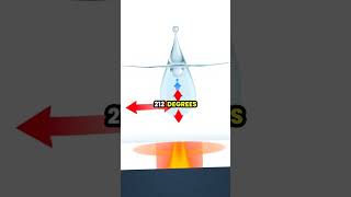 The Mesmerizing Leidenfrost Effect Explained! 🔥💧 Net Worth