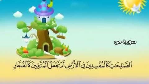 سورة ص 27 30
