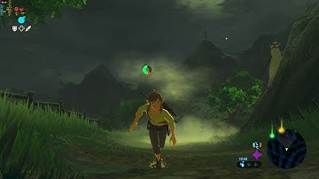 Cemu 1.16.0 vulkan  zelda botw RX 570 4gb benchmark
