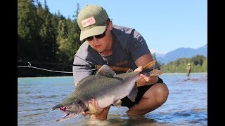FLY FISHING for PINK SALMON on the Squamish River