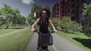 Magnificent Montreal | STA Travel
