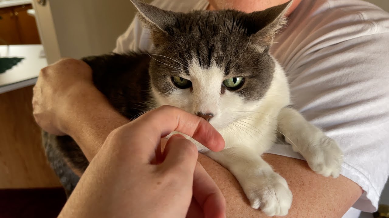 Let's Try Another Piece • 3.7.22