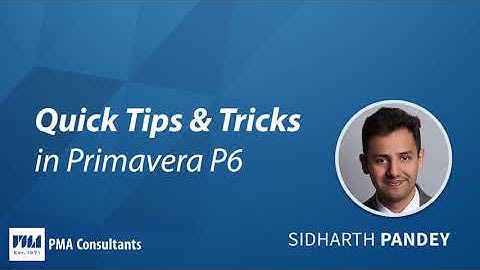 Renumbering Activity IDs in Primavera P6